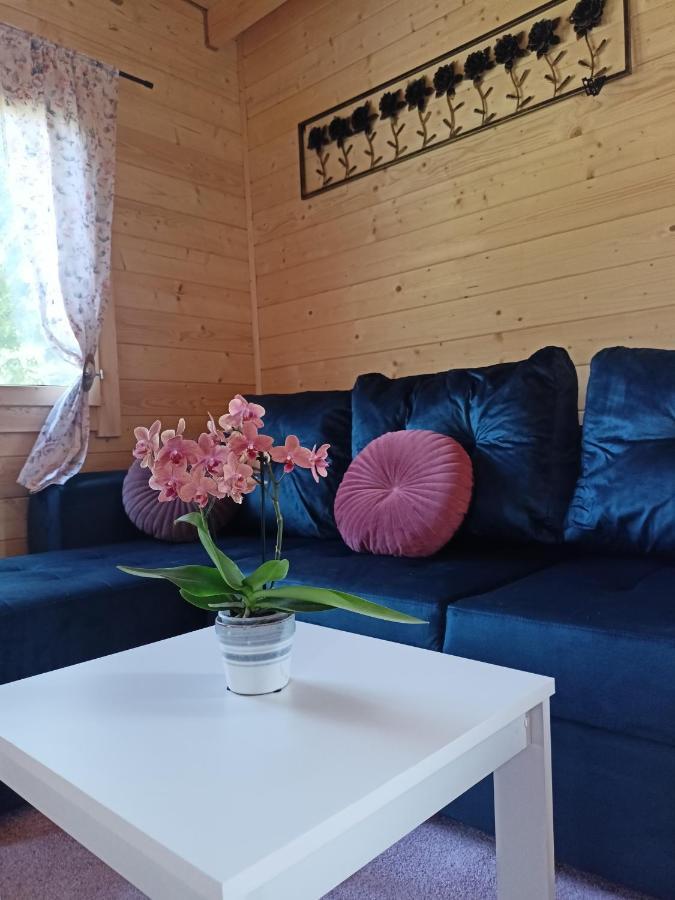 Swierkowe Siedlisko Wegorzewo Bagian luar foto