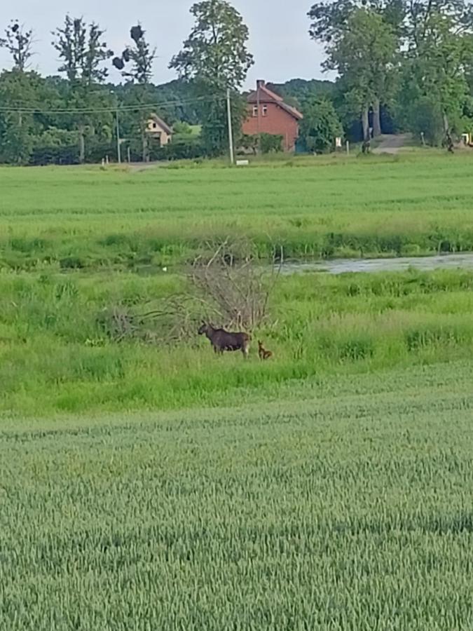 Swierkowe Siedlisko Wegorzewo Bagian luar foto